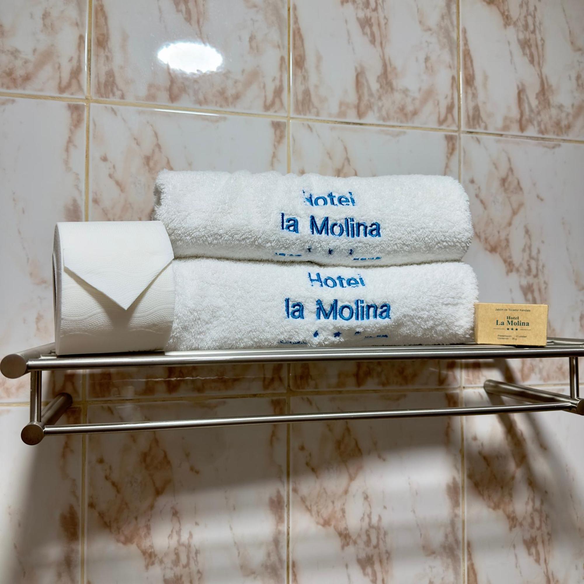 Hotel Hotel La Molina