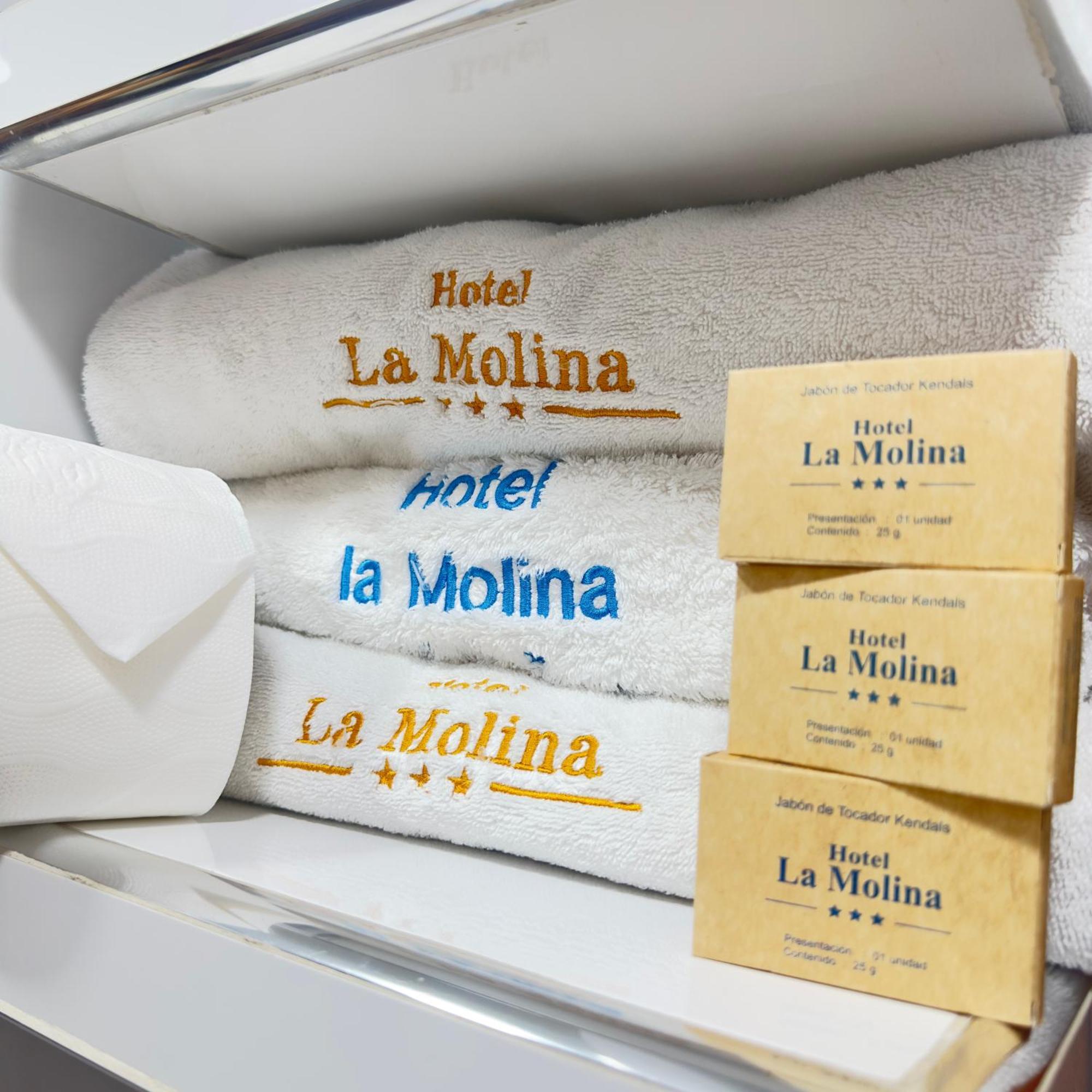 Hotel La Molina Hotel Lima